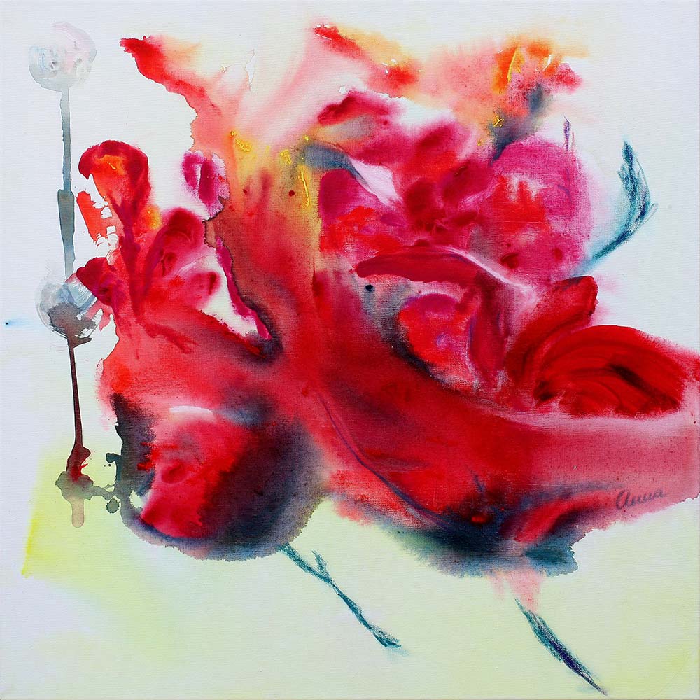 mohnblume am träumen