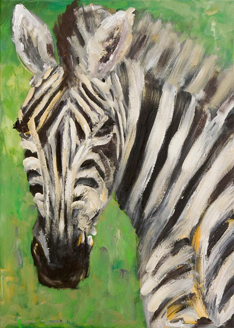 zebra